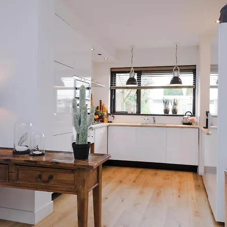 Modern In North Holland Near The Sea *